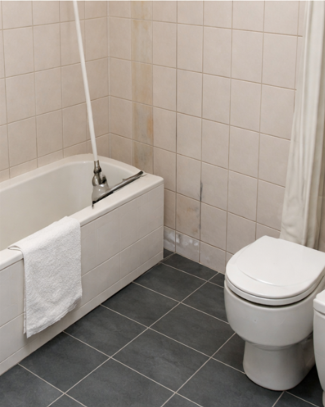 Diseño sin título (6)